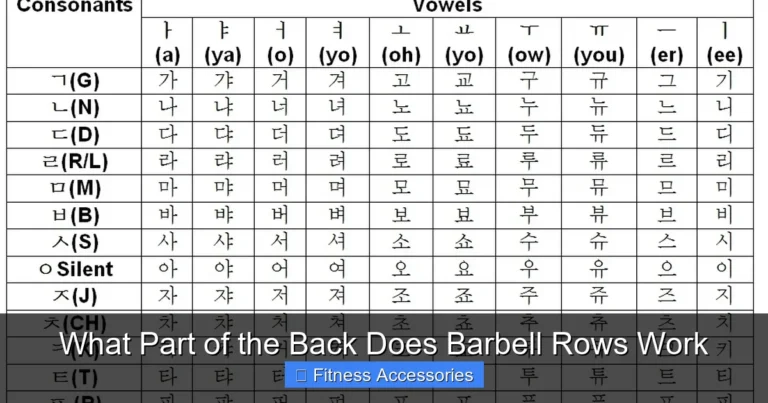 What Part of the Back Does Barbell Rows Work