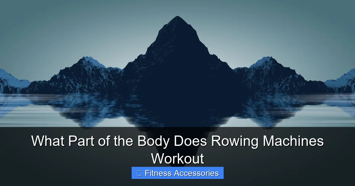 What Part of the Body Does Rowing Machines Workout