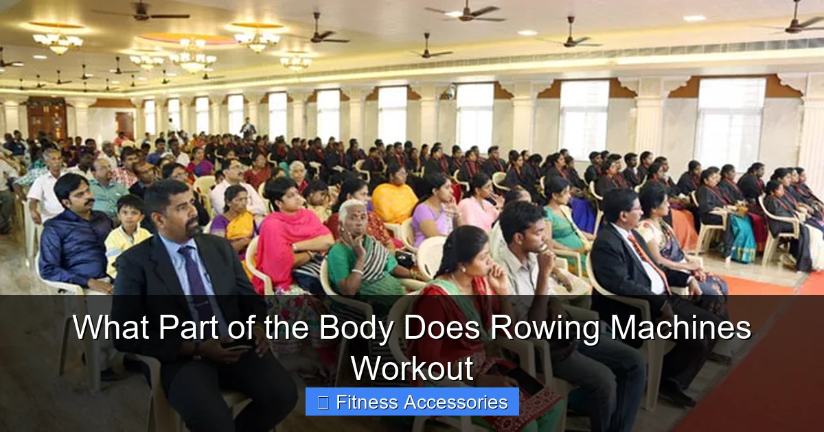 What Part of the Body Does Rowing Machines Workout