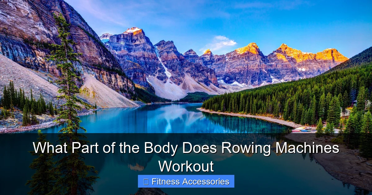 What Part of the Body Does Rowing Machines Workout