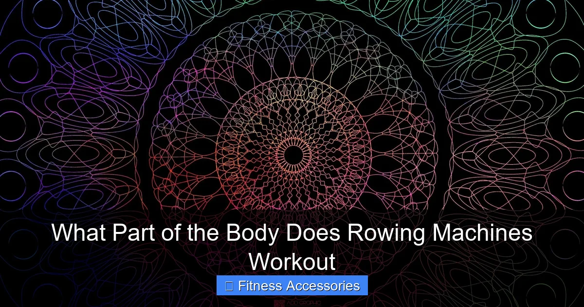 What Part of the Body Does Rowing Machines Workout