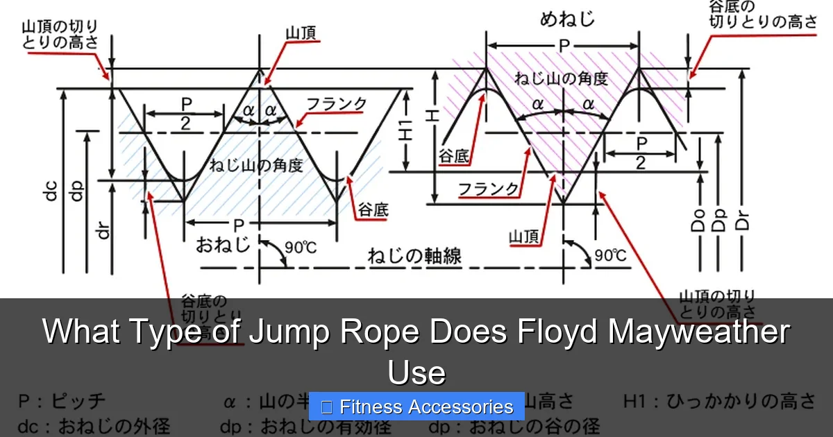 What Type of Jump Rope Does Floyd Mayweather Use