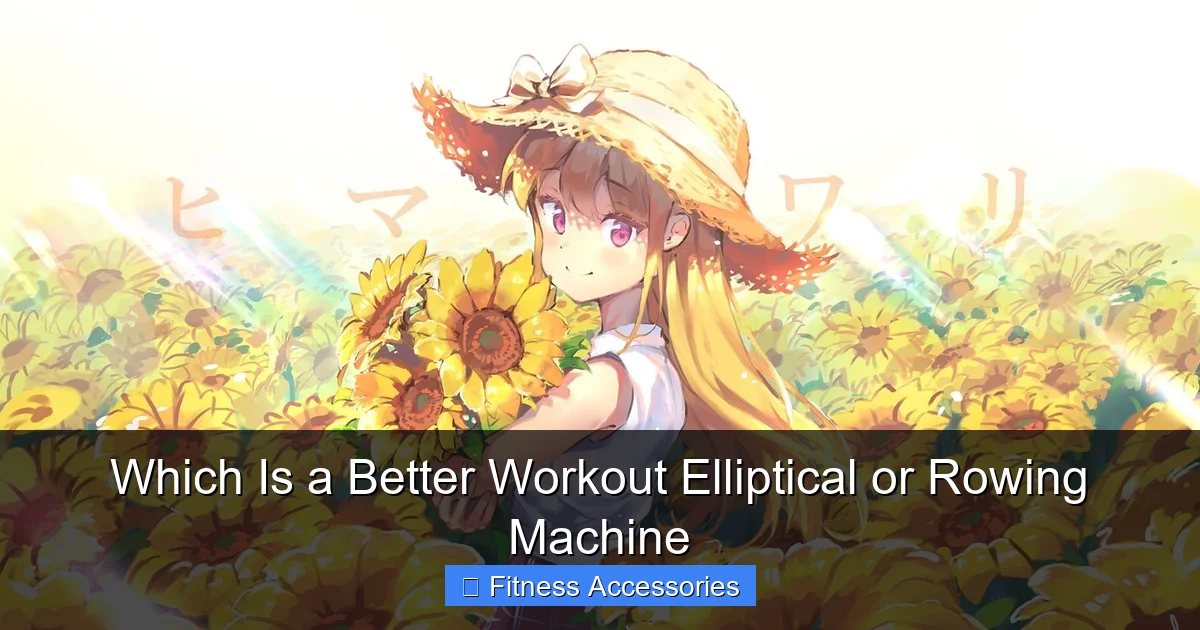 Which Is a Better Workout Elliptical or Rowing Machine