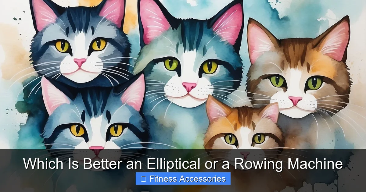 Which Is Better an Elliptical or a Rowing Machine