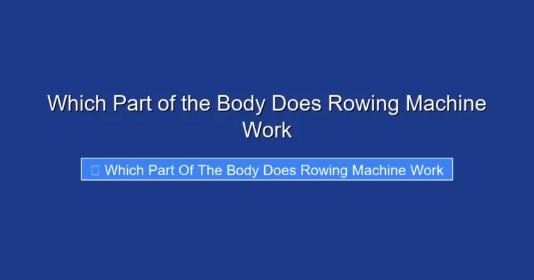 Which Part of the Body Does Rowing Machine Work