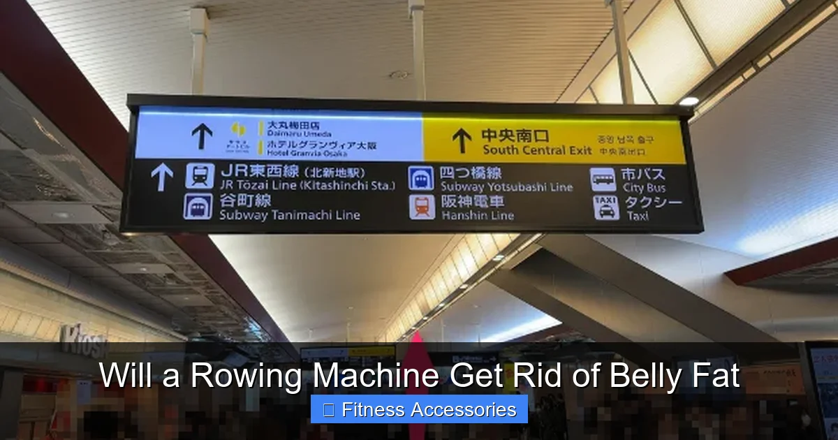 Will a Rowing Machine Get Rid of Belly Fat