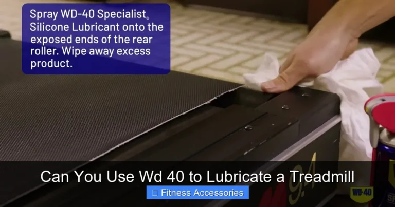 Can You Use Wd 40 to Lubricate a Treadmill