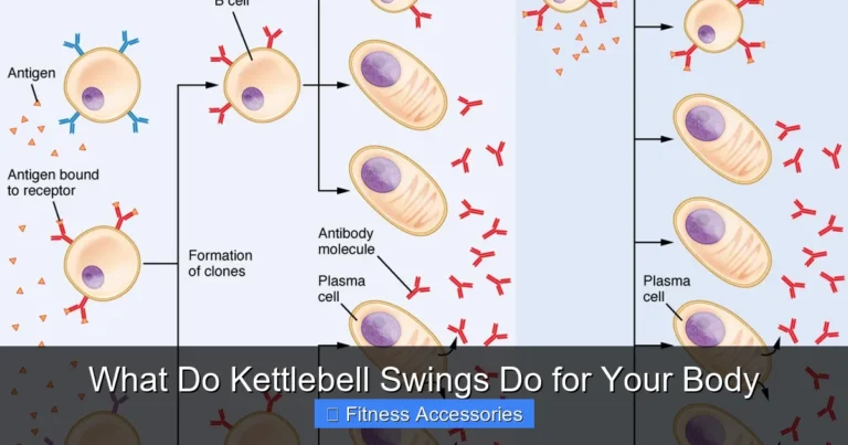 What Do Kettlebell Swings Do for Your Body