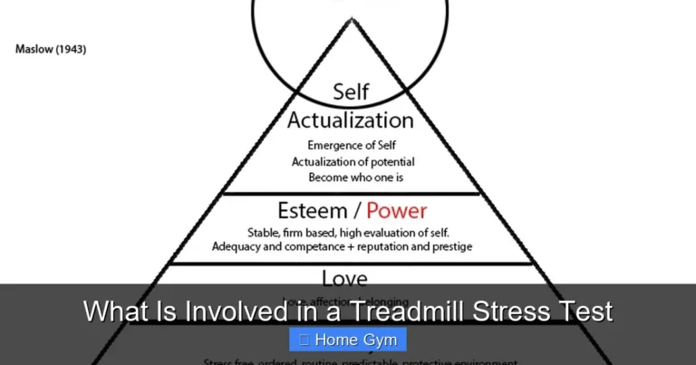 What Is Involved in a Treadmill Stress Test