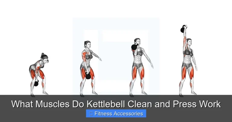 What Muscles Do Kettlebell Clean and Press Work