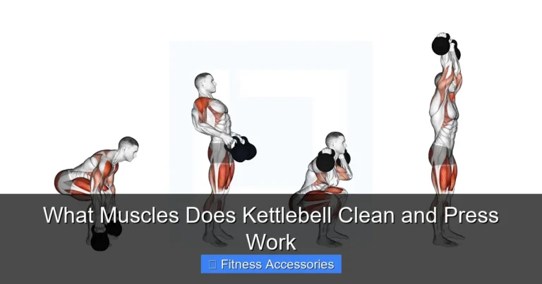 What Muscles Does Kettlebell Clean and Press Work