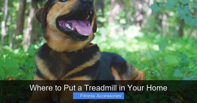 Where to Put a Treadmill in Your Home
