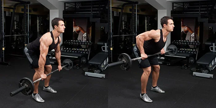 What Muscles Do Barbell Bent Over Rows Work