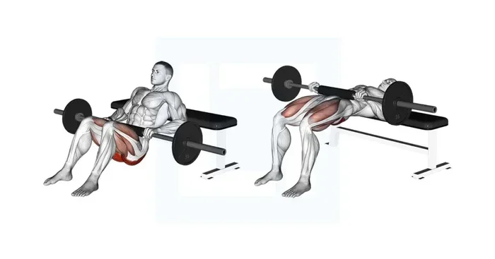 Is the Hip Thrust Machine Better Than Barbell