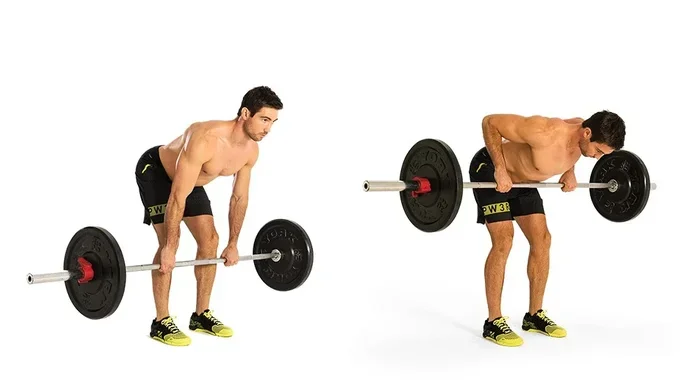 Where to Do Barbell Rows in the Gym