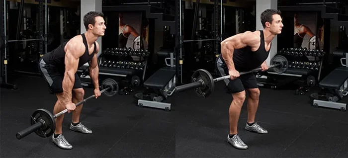 How to Do Bent Over Row with Barbell