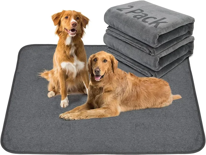How to Clean Dog Pee from Yoga Mat