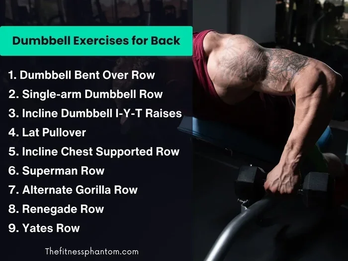 How to Work on Your Back with Dumbbells