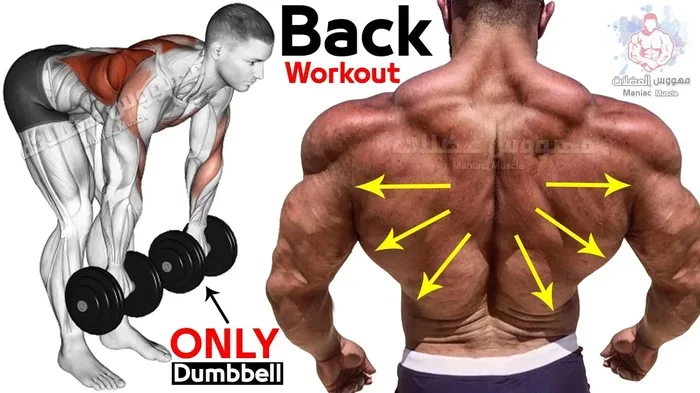 What Are the Best Back Exercises with Dumbbells
