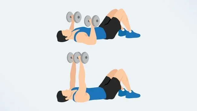 What Is Better for Chest Dumbbell or Barbell