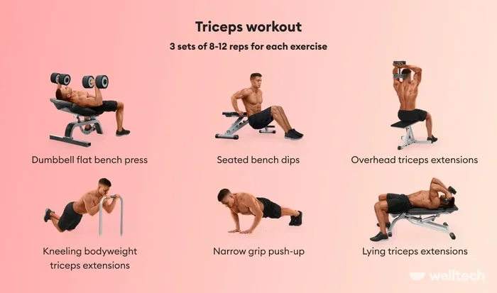 How to Use Dumbbells for Biceps and Triceps