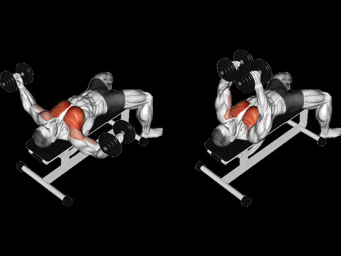 How to Do a Chest Fly with Dumbbells