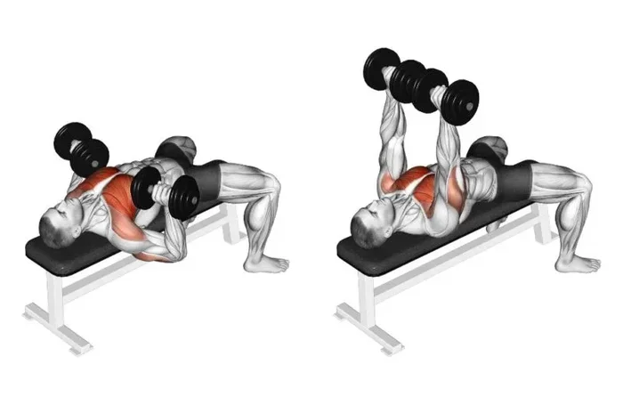 What Is the Best Chest Workout with Dumbbells