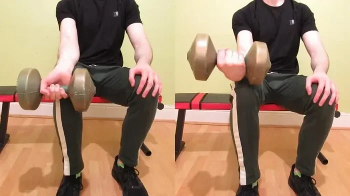 How to Build Forearms at Home with Dumbbells