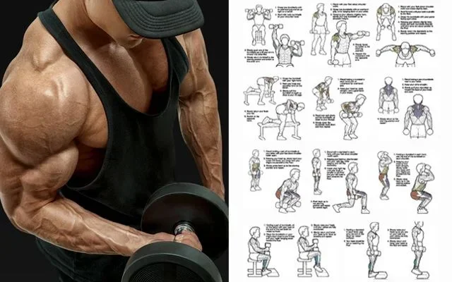 Can I Build Muscle with 15 Pound Dumbbells