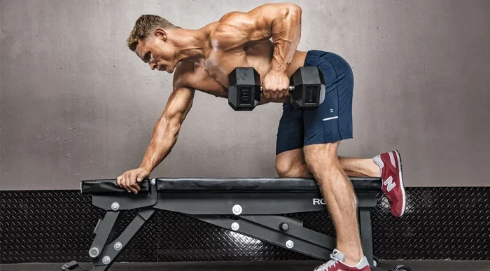 Can You Build Muscle with Only Dumbbells Reddit