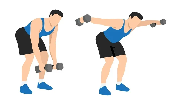 How to Do a Reverse Fly with Dumbbells
