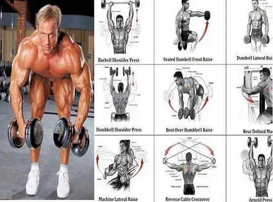 How to Work Out Your Deltoids with Dumbbells