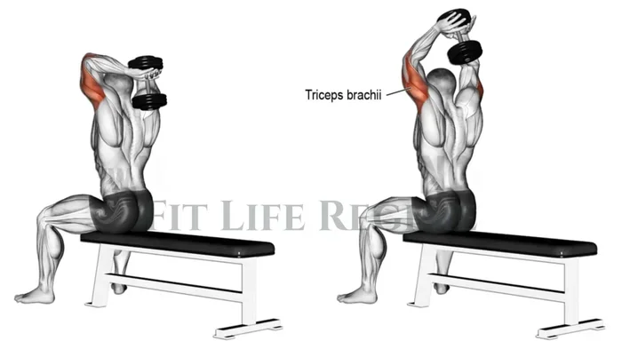 What Is a Good Tricep Workout with Dumbbells