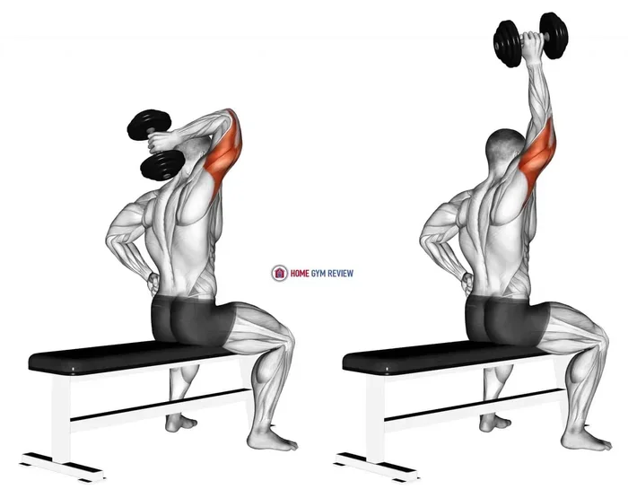 How to Build Triceps at Home with Dumbbells