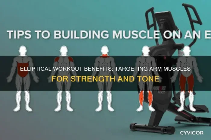What Does the Elliptical Do for Your Arms