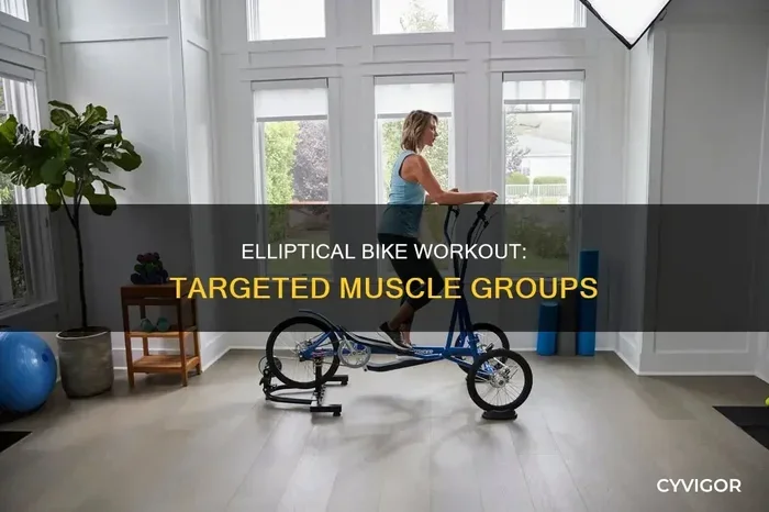 Is Bike or Elliptical Better for Weight Loss