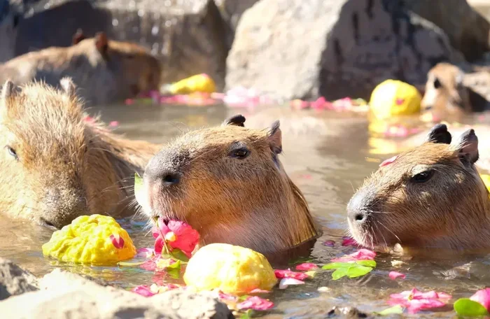 Is the Speed on a Treadmill in Mph