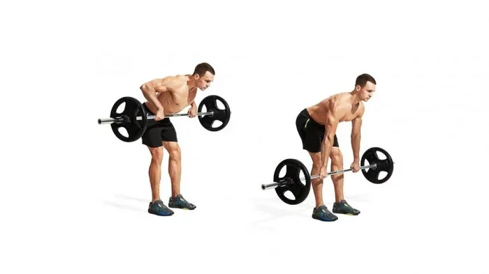 Can You Do Bent Over Rows with Dumbbells