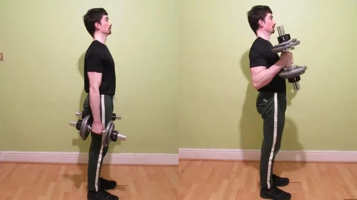 How to Do a Hammer Curl with Dumbbells