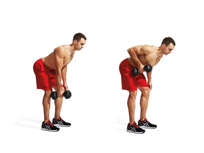 How to Do Rows at Home with Dumbbells