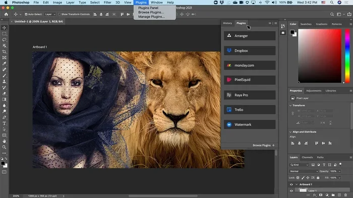What Is the Elliptical Marquee Tool in Photoshop