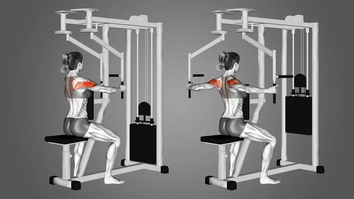 How to Do Rear Delt Flys with Dumbbells