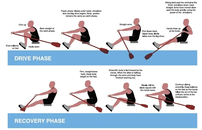 Should You Lean Back on a Rowing Machine