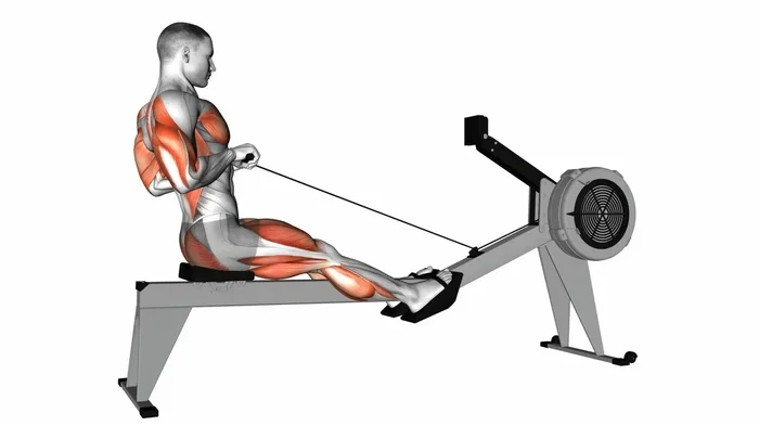 How Long Should I Do the Rowing Machine