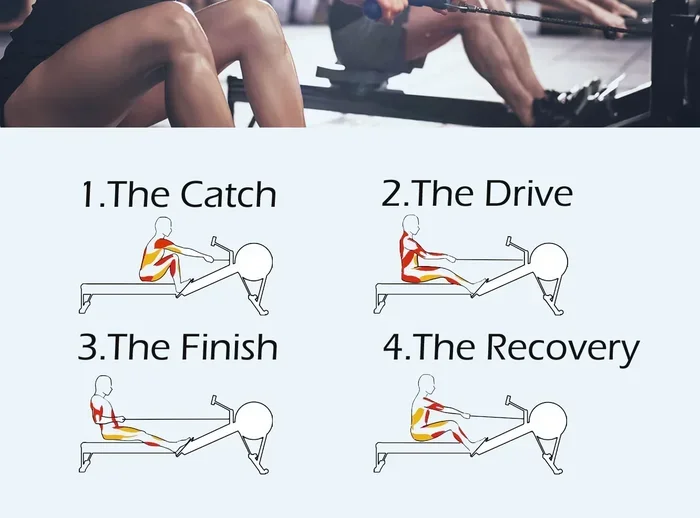 How Many Strokes per Minute on Rowing Machine
