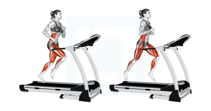 How Many Calories Does 30 Min Treadmill Burn