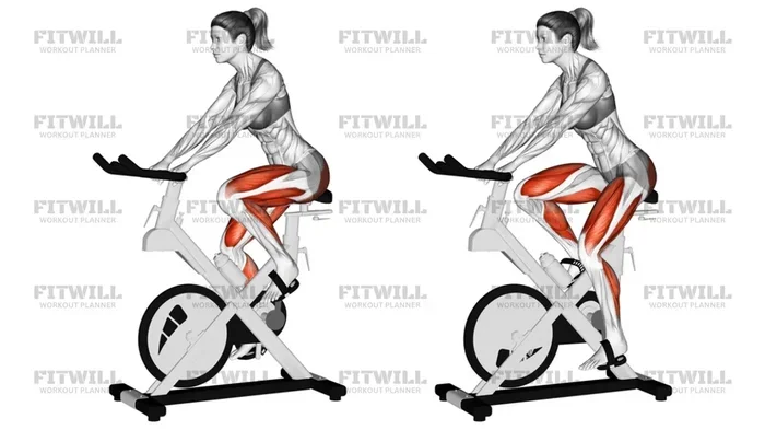 Is a Stationary Bike as Good as Running