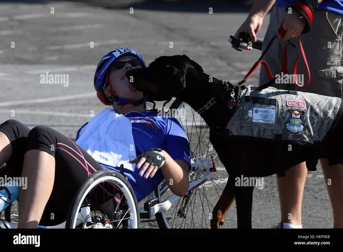 Will the Va Pay for a Recumbent Bike