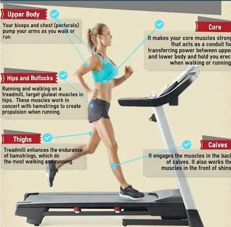 What Does the Treadmill Do for the Body