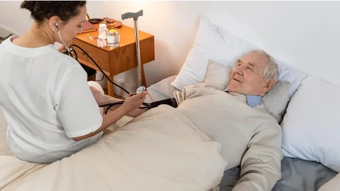Overnight Companions for Elderly